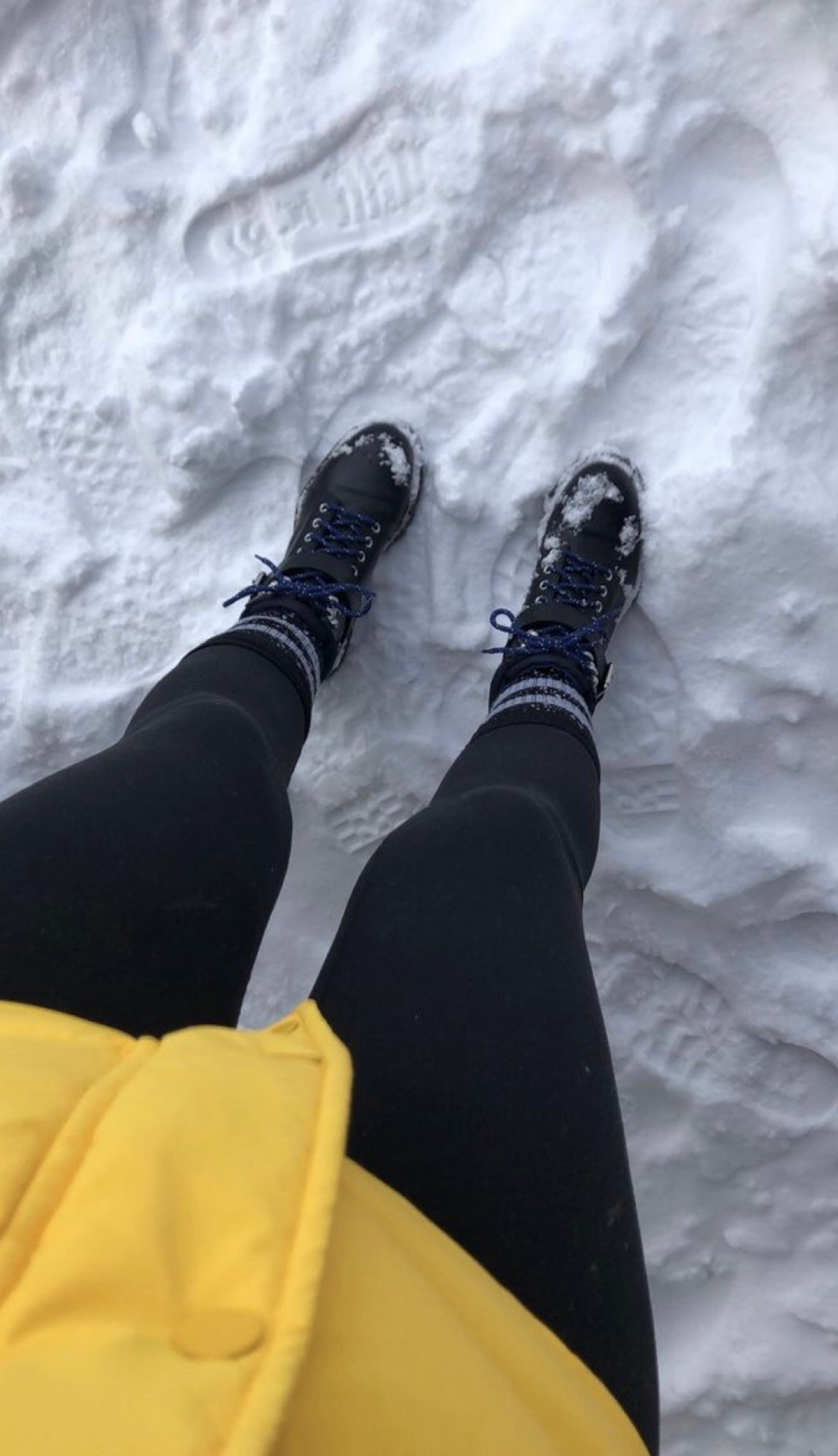 Leggings Artica Nero ❄️