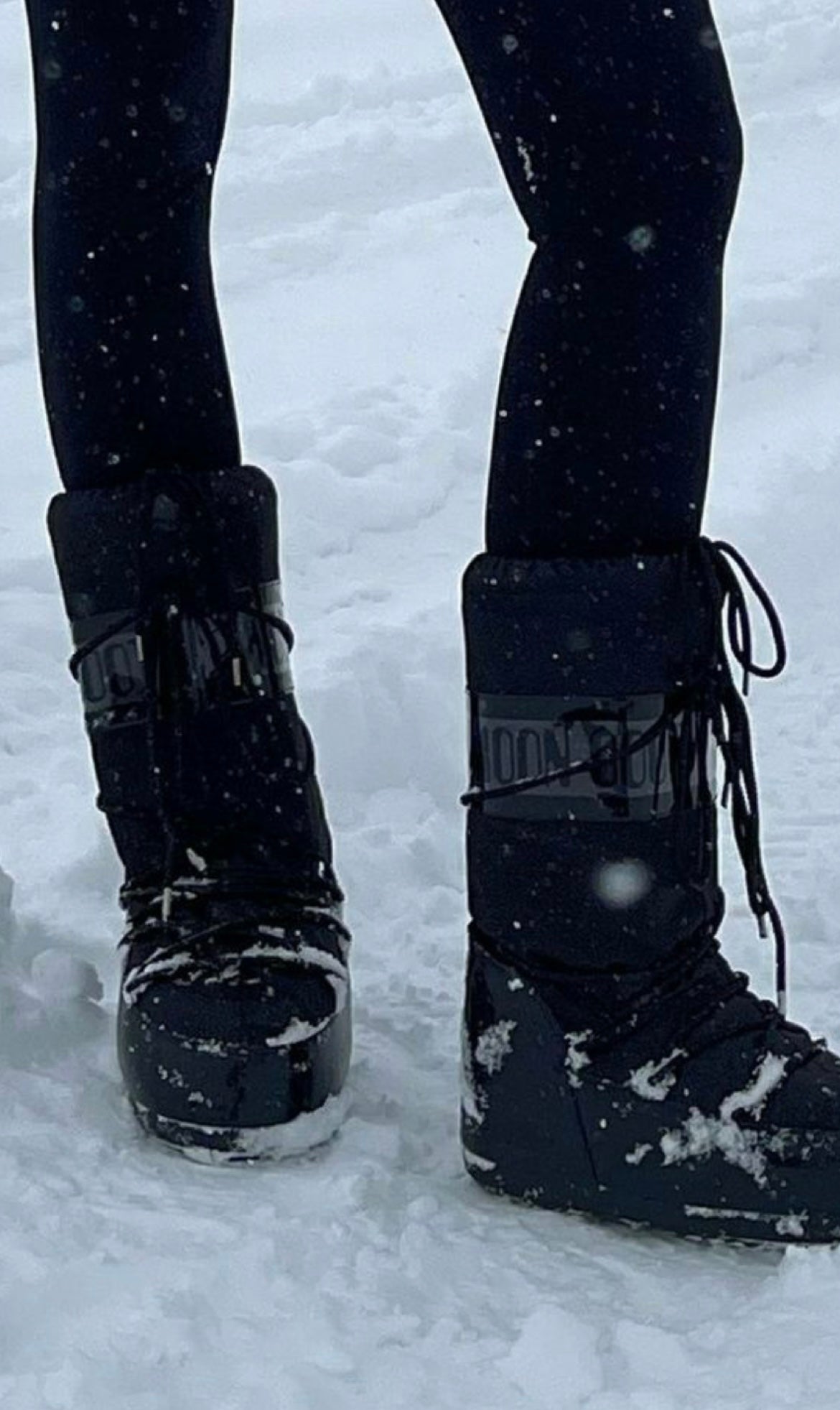 Leggings Artica Nero ❄️